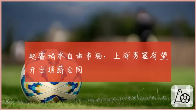 赵睿试水自由市场，上海男篮有望开出顶薪合同
