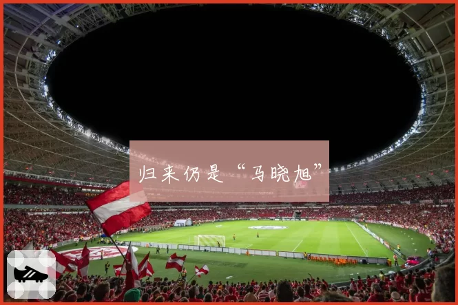 归来仍是“马晓旭”