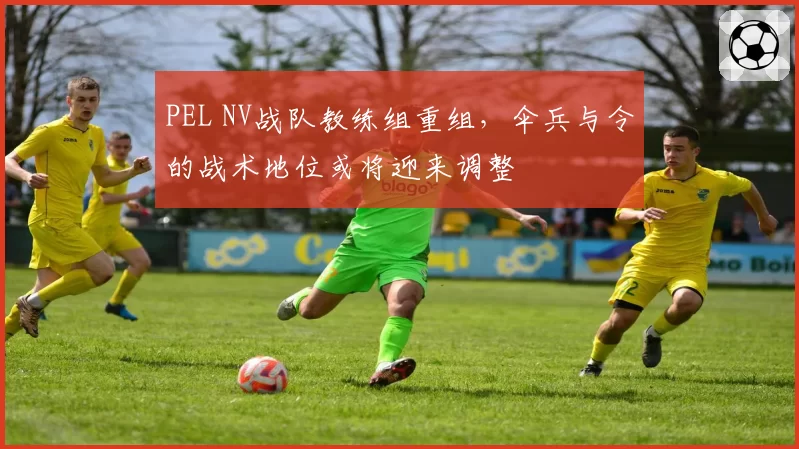 PEL NV战队教练组重组，伞兵与令的战术地位或将迎来调整